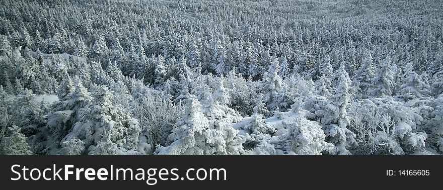 It is winter time in the mountains.