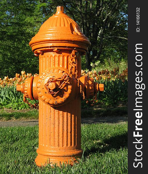 A bright orange fire hydrant stands in the grass in front of a backdrop of orange tulips.