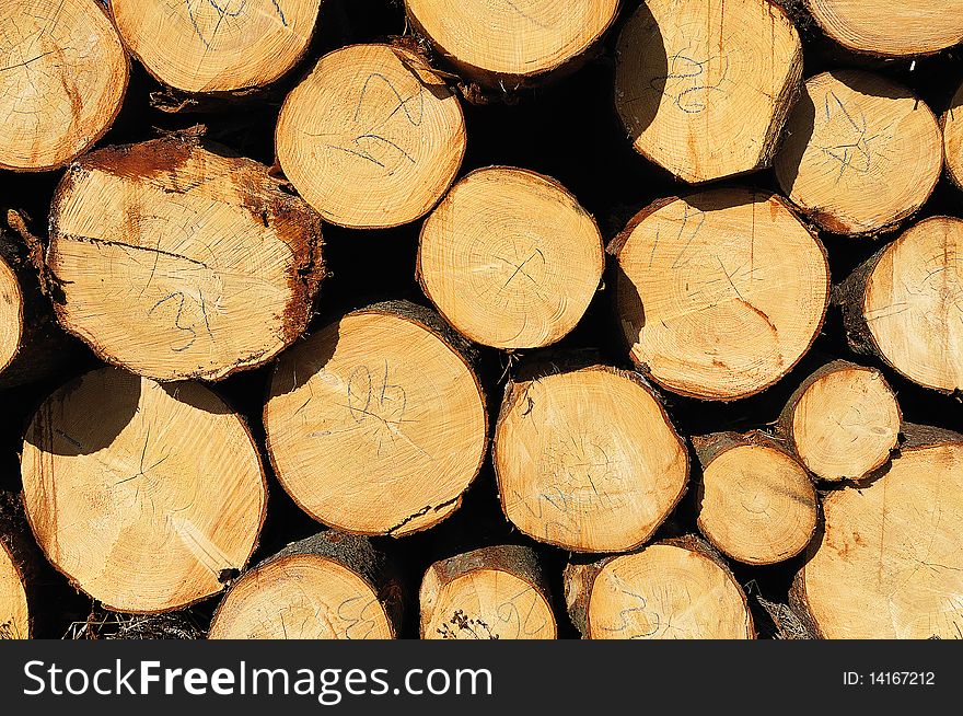 Pile of numbered wooden logs. Pile of numbered wooden logs