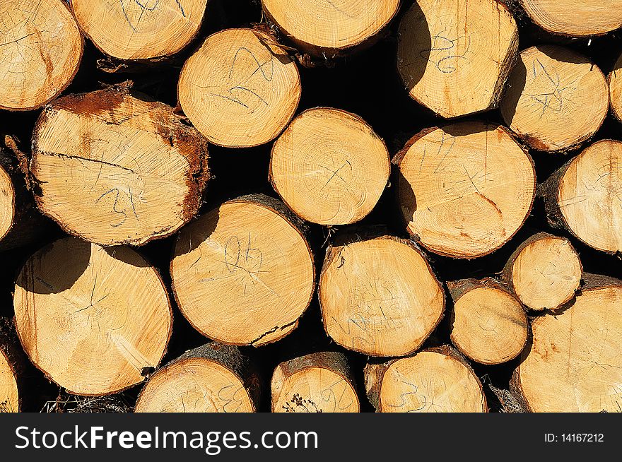 Pile Of Wooden Logs