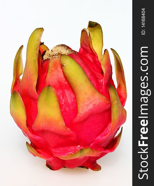 Fresh ripe round colorful dragon fruit on a white background.