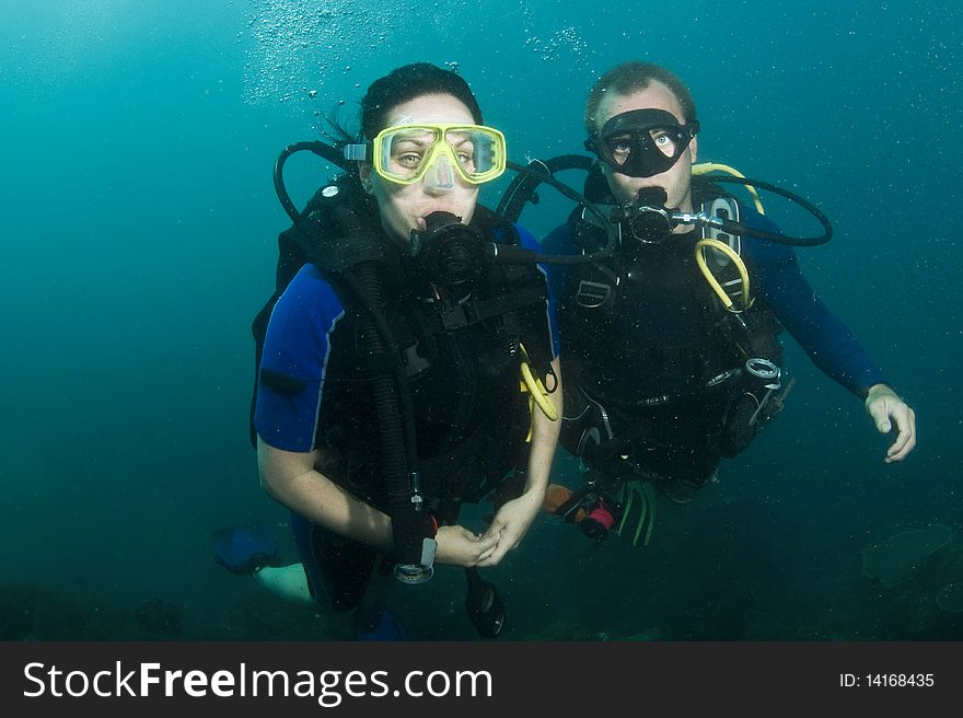 Two scuba divers on a dive