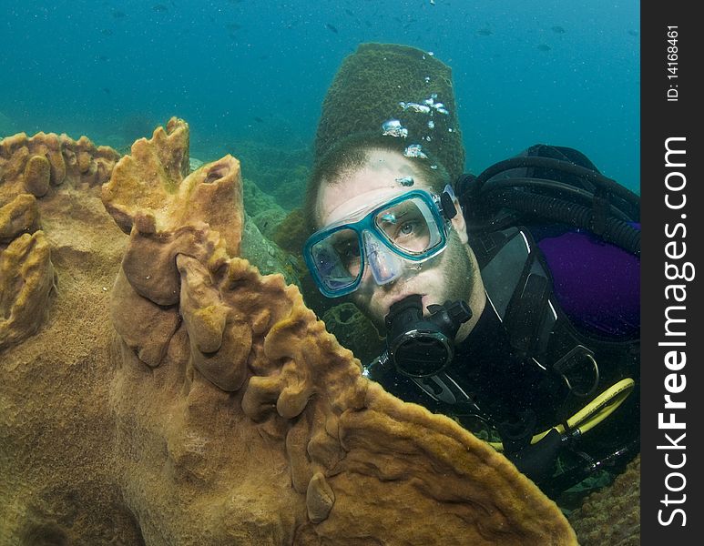 Scuba diver with coral