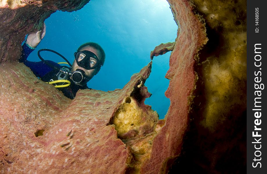 Scuba diver looking down barrel sponge at camera