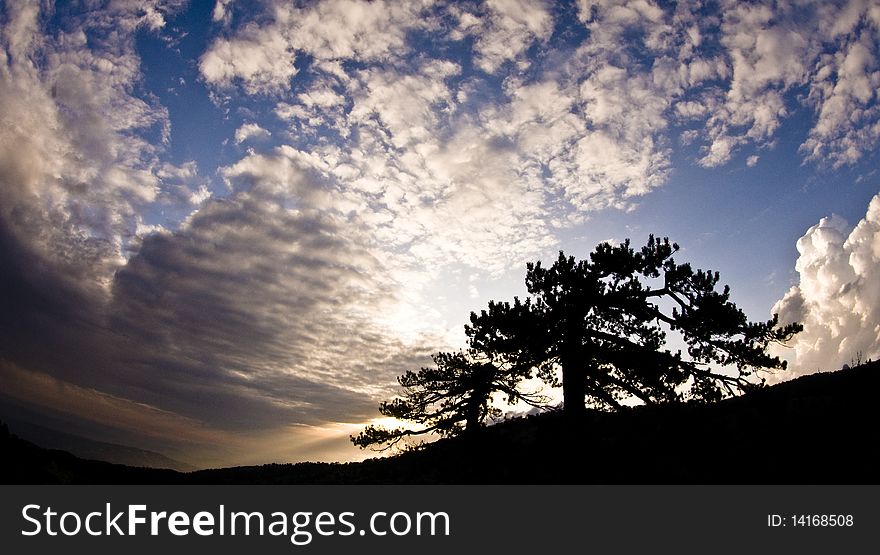 Dramatic sky with trees in background. Dramatic sky with trees in background