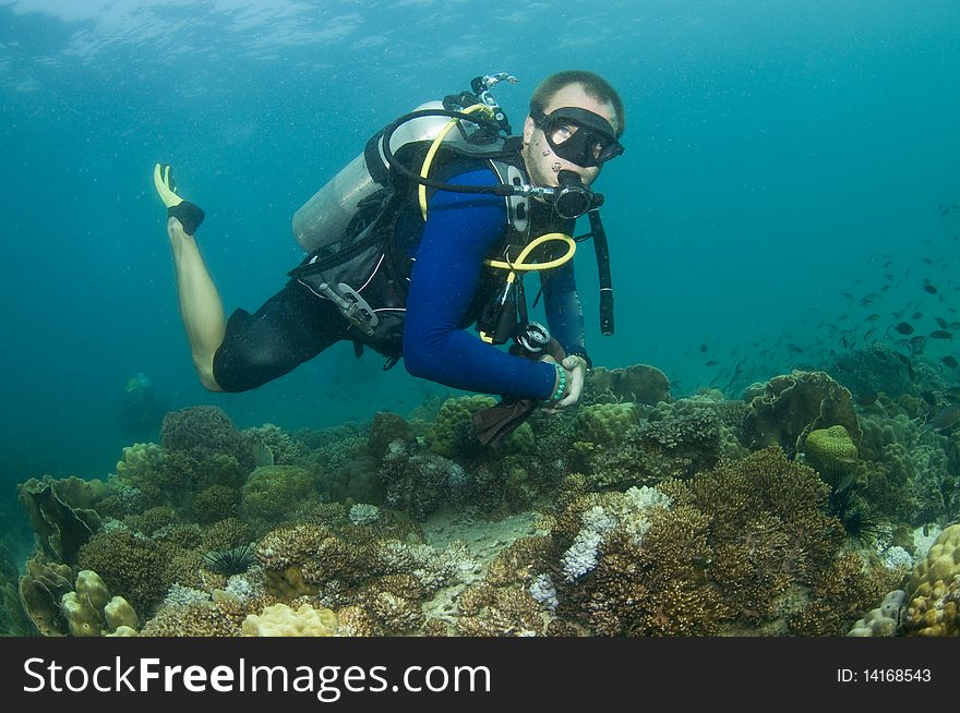 Scuba diver swimming over reef