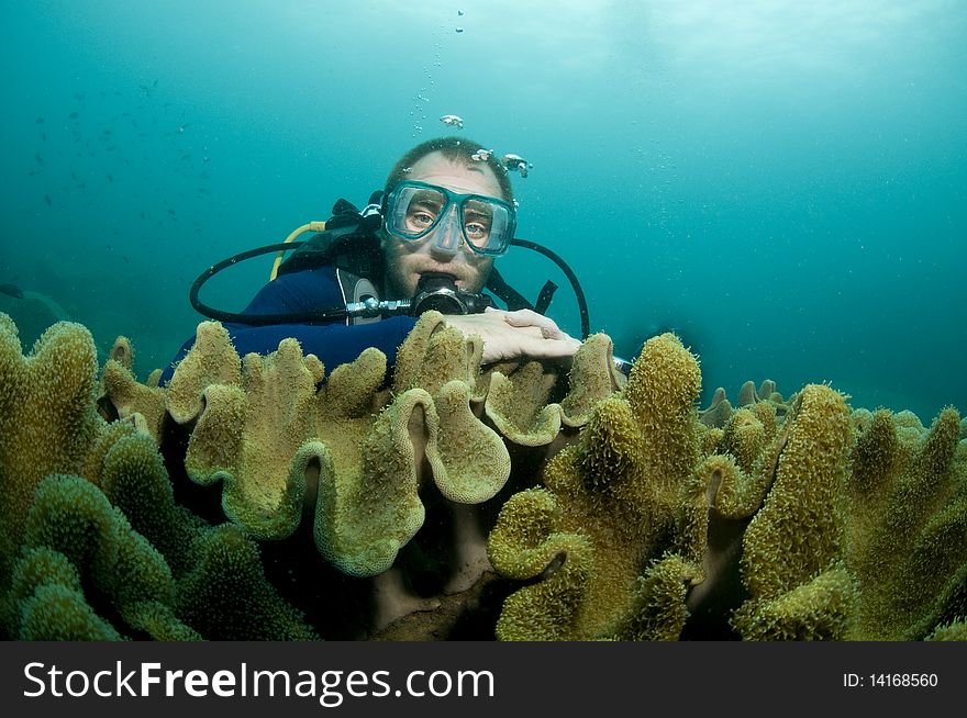 Scuba diver swimming over reef in blue water