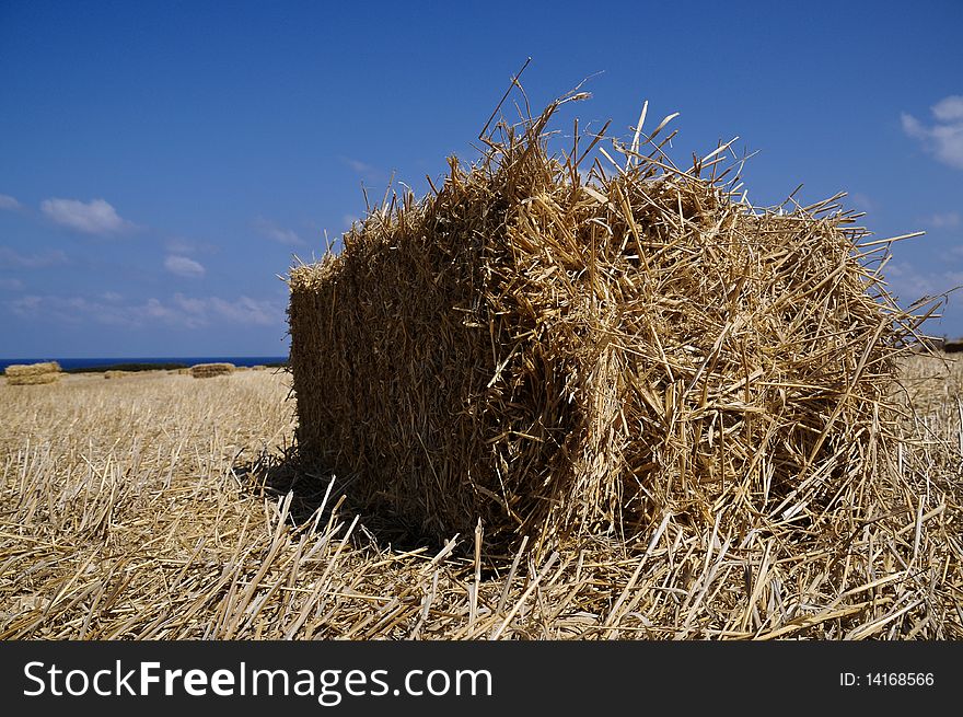 Hay stack in field by the sea