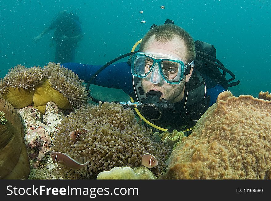 Scuba diver looking at enemone fish and coral