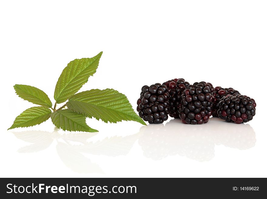 Blackberry fruit with leaf sprig, isolated over white background with reflection.