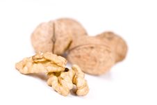 Walnut Stock Image Walnut Stock Image