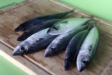 Fresh Mackerel Fish On Wooden Table Stock Photo Fresh Mackerel Fish On Wooden Table Stock Photo