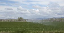 Agriculture Watering Stock Photos Agriculture Watering Stock Photos