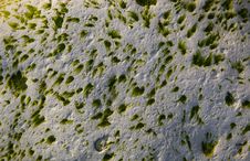 Stone Moss Stock Photography Stone Moss Stock Photography