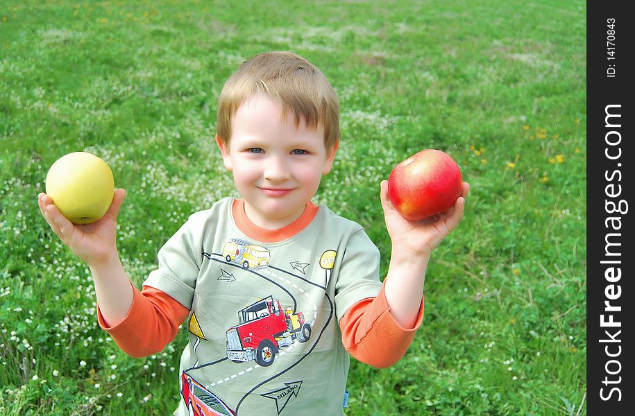 The little boy on walk on a meadow