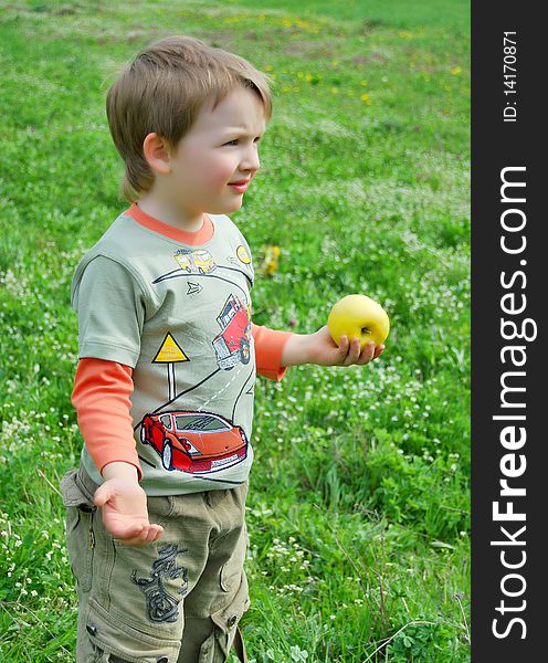 The little boy on walk on a meadow