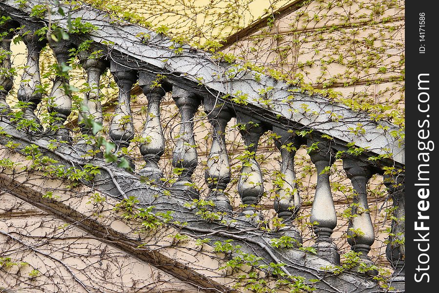 Balistrade stairs full covered with ivy leaves. Balistrade stairs full covered with ivy leaves.