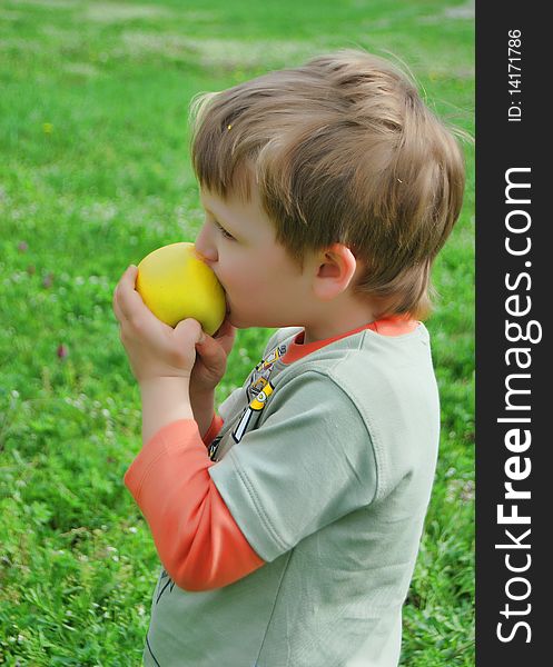 The little boy on walk on a meadow