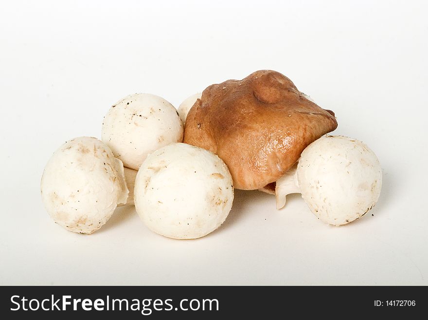 Few champignons (button) and one Shiitake mushroom. Few champignons (button) and one Shiitake mushroom