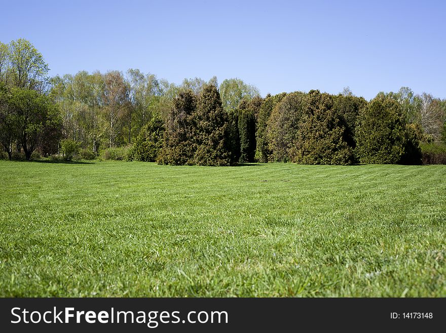 Sunny image with green grass and trees. Sunny image with green grass and trees