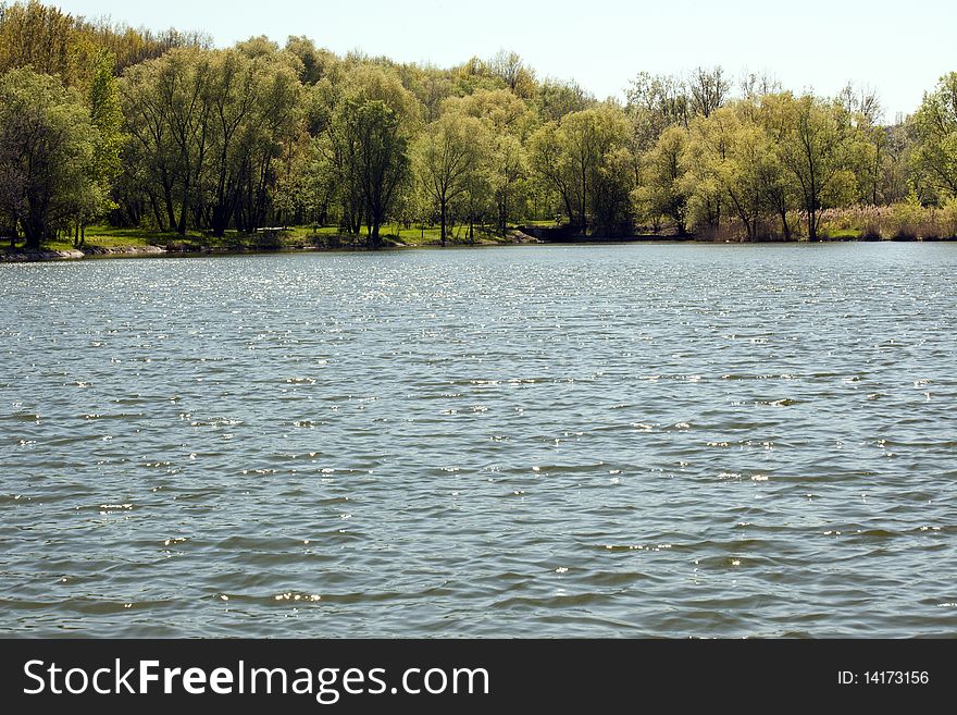 Beautiful landscape with water and trees. Beautiful landscape with water and trees