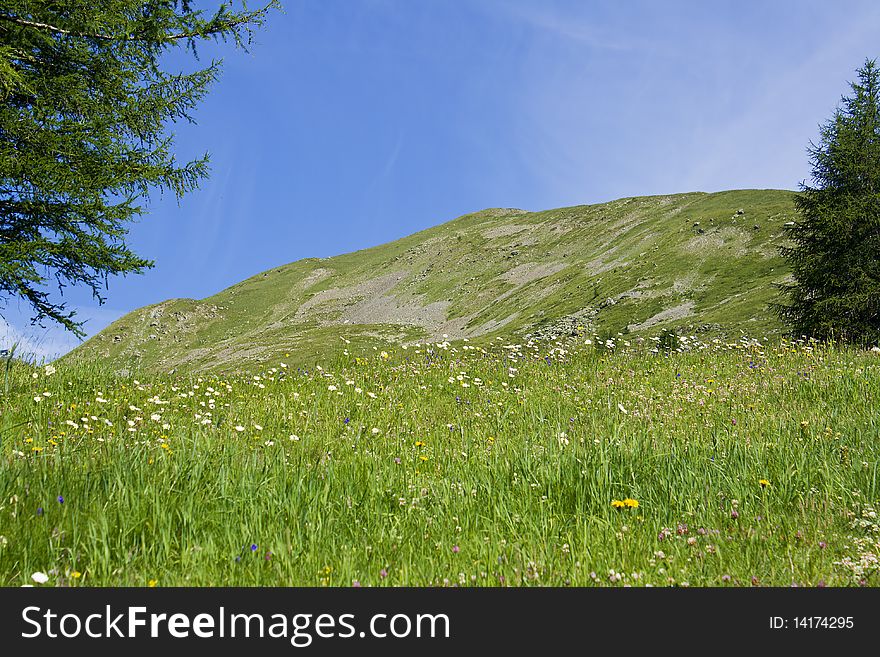 Mountain landscape on alps with beautiful panorama and many flowers from the mont blanc