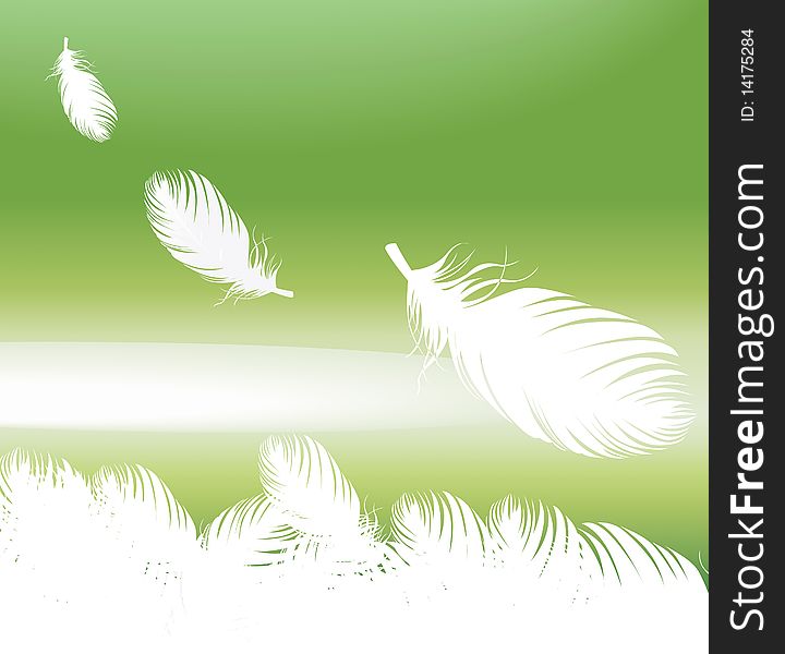 Feathers Background