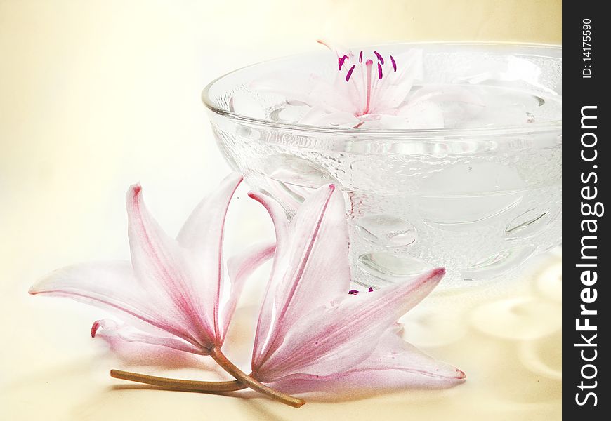 Water for spa with lily petals