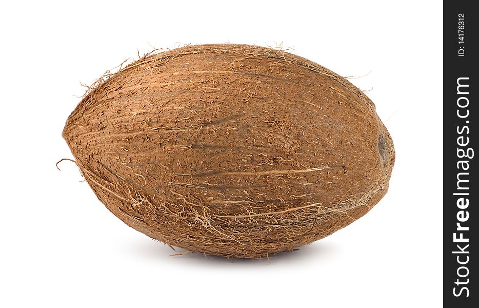Ripe coconut isolated on a white background
