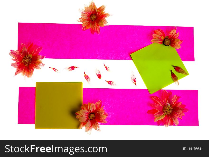 Stickers with flowers and petals with copy space isolated on white