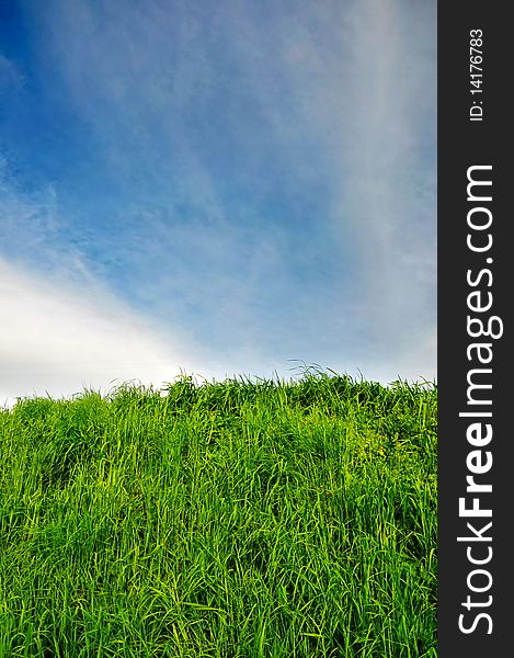 Background of cloudy sky and grass. Background of cloudy sky and grass