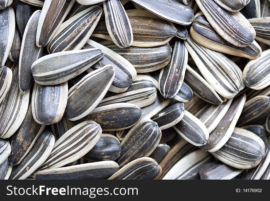 Many zoomed sunflower seeds in the picture