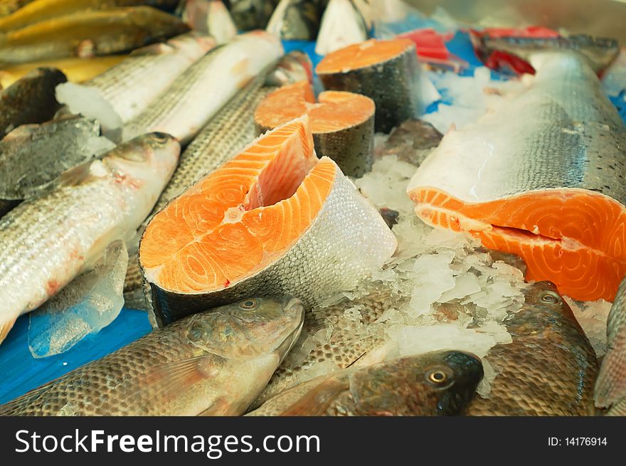 Fresh fish for sale on a market stand