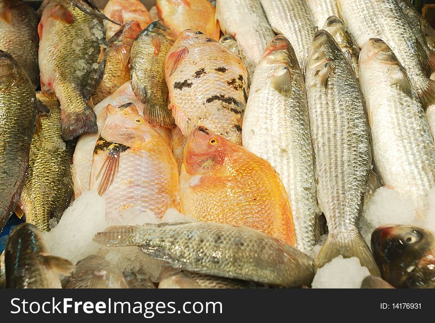 Fresh fish for sale on a market stand