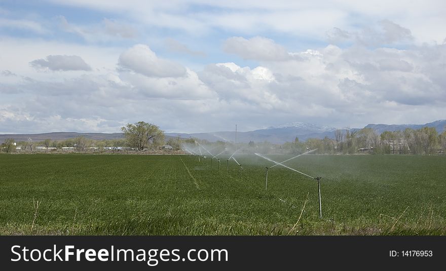 Farm sprinklers watering crops in the mountains. Farm sprinklers watering crops in the mountains.