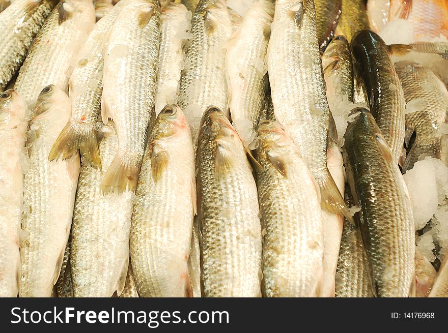 Fresh fish for sale on a market stand