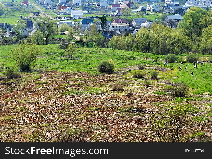 The Rural landscape. The Russian village.