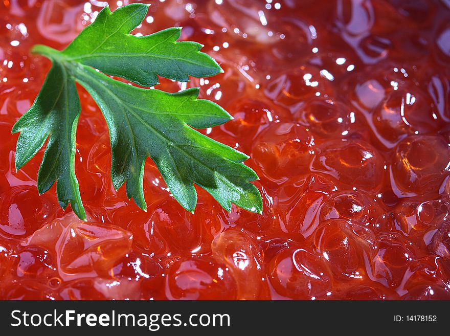 Red caviar as a background with a branch of green parsley.