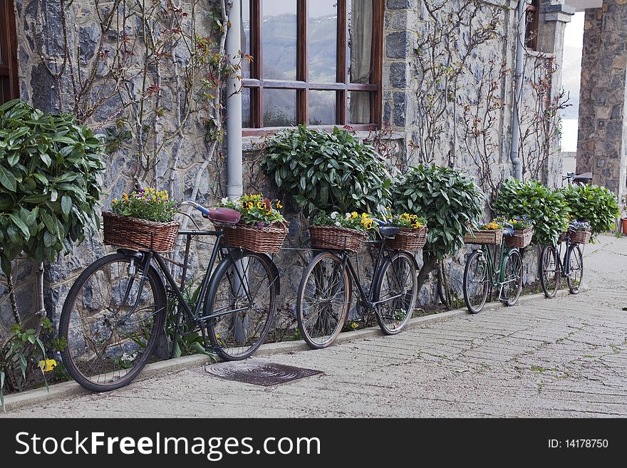 Bicycles decorated with plants as part of a rural environment. Bicycles decorated with plants as part of a rural environment