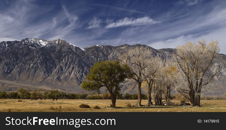 Patch of trees against the snowy peaks of the californian sierra nevada,on the way to yosemite valley,fall 2009. Patch of trees against the snowy peaks of the californian sierra nevada,on the way to yosemite valley,fall 2009.