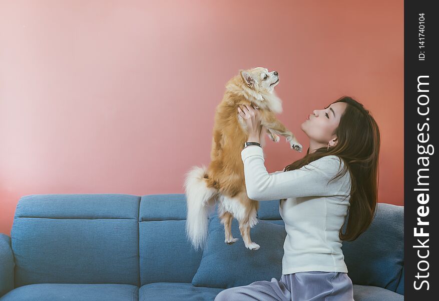 Portrait of young Asian woman holding her dog chihuahua on sofa at home.