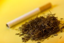 Cut Dried Leaves Of Tobacco Stock Photo Cut Dried Leaves Of Tobacco Stock Photo