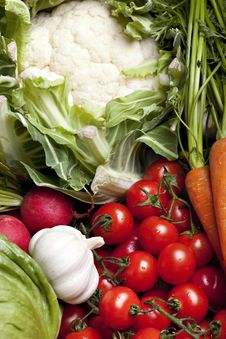 Set Of Different Vegetables Stock Images Set Of Different Vegetables Stock Images