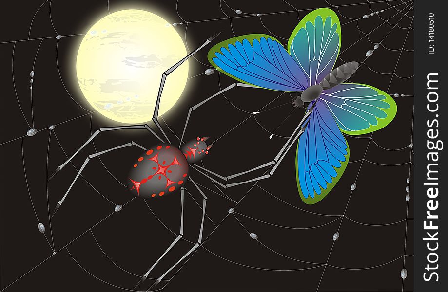 Spider on a background a moon. Spider on a background a moon