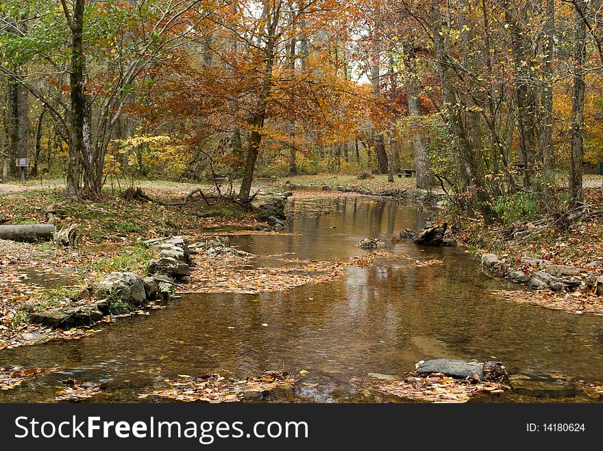 Autumn scene in the Chattahoochee National Forest