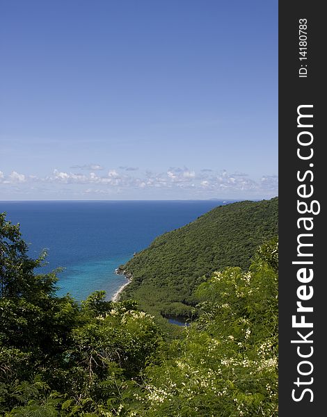 tropical island coast landscape with green foliage. tropical island coast landscape with green foliage