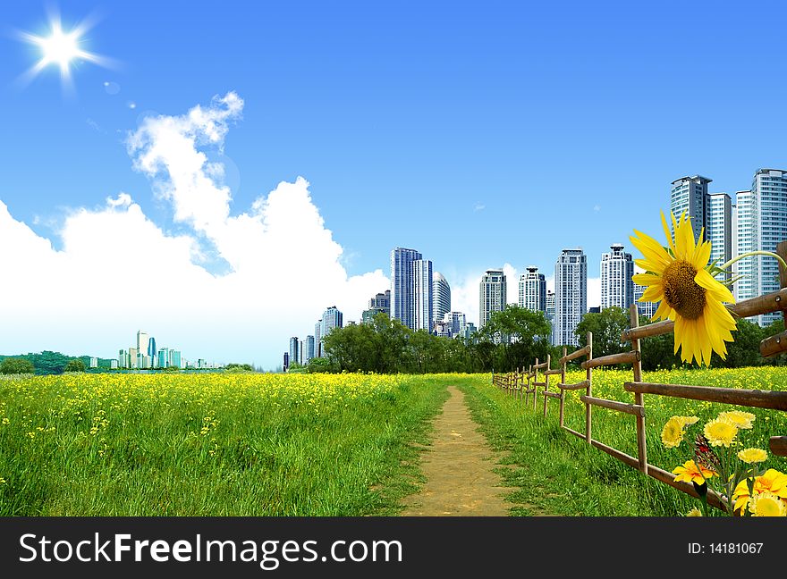 Beautiful landscape and skyscraper in city