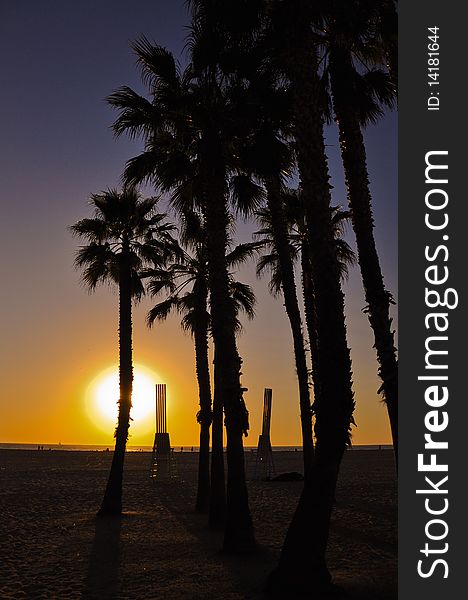 Sunset at SantaMonica beach,silhouette effect,stumps