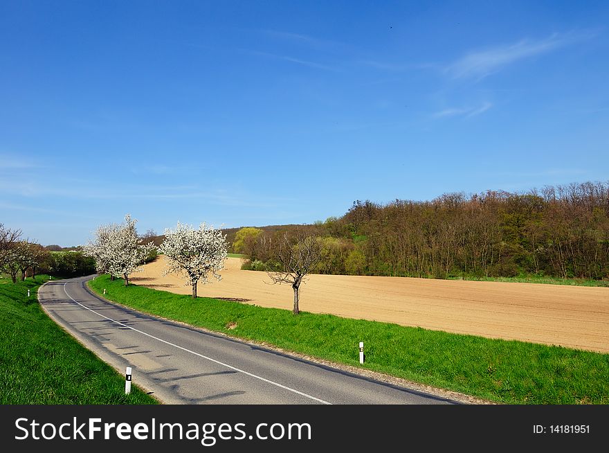 Picturesque view of empty countryside road