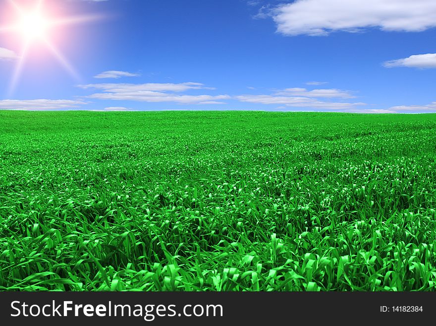 Landscape - Green field and blue sky